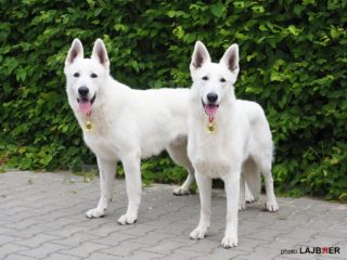 Litter Kontra – we plan