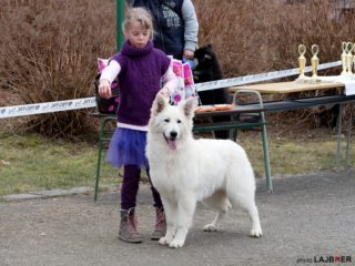 Child and dog - Dětřichov 31.3.2018, 1st place