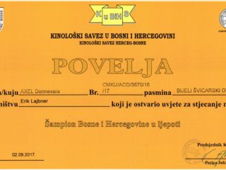 Champion Bosnia and Herzegovina 