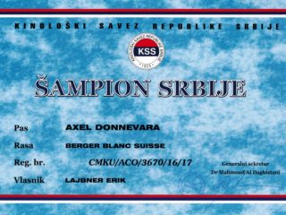 Champion Serbia