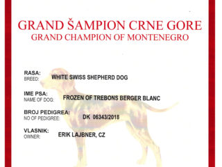Grand Champion MNE