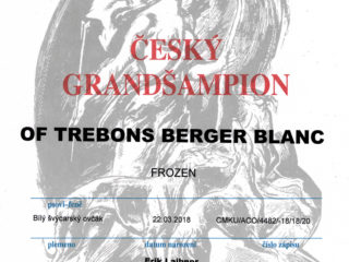 FROZEN Of Trebons Berger Blanc