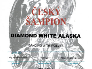 DIAMOND WHITE ALASKA Dancing With Wolves