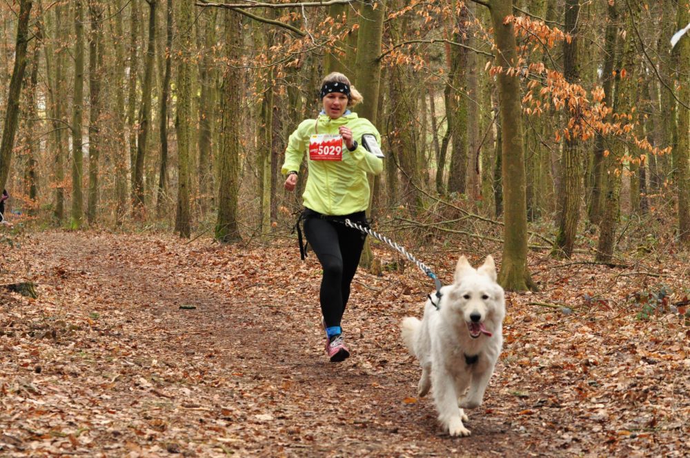 Canicross race Lescross – Tlučná 1/4