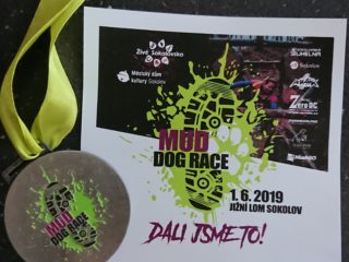MUD DOG RACE 2019