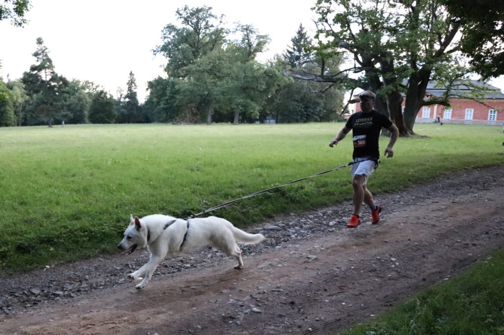 Night Leskros race – through the Dobříš chateau park