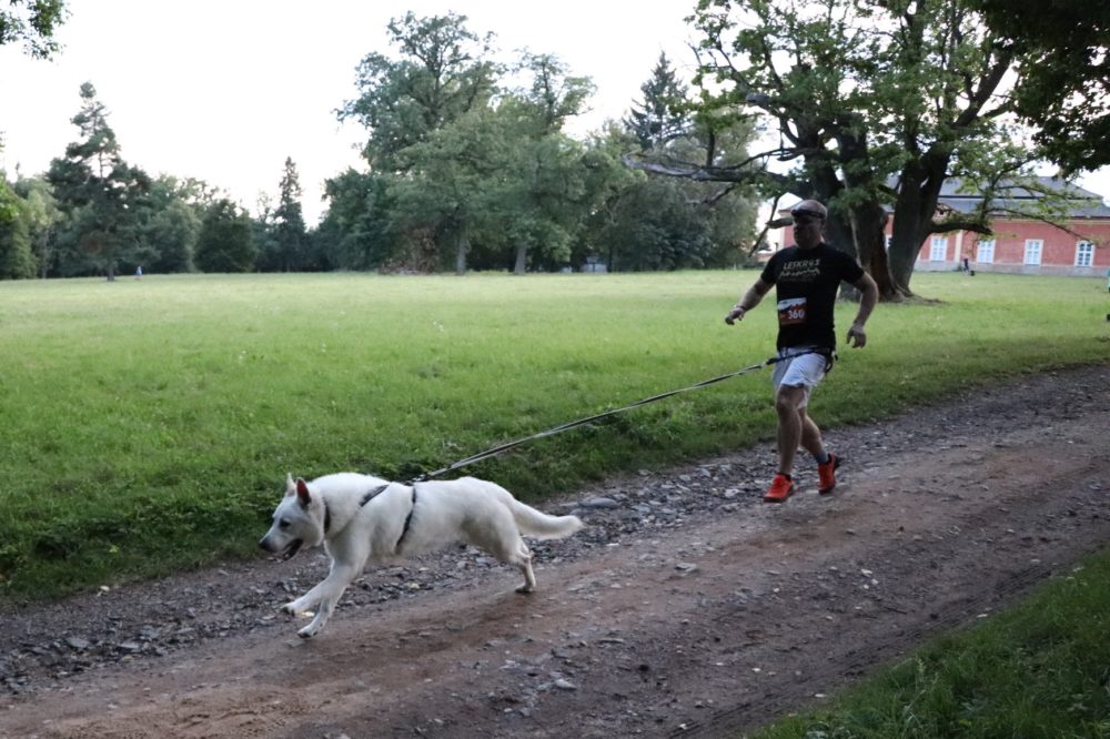 Noční Leskros – zámeckým parkem Dobříš