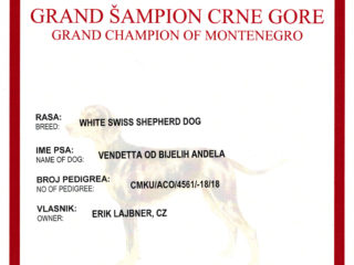 Grand champion MNE