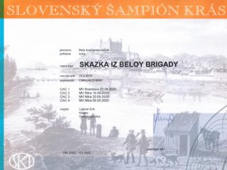 SKAZKA Iz Beloy Brigady