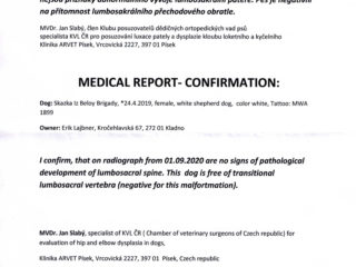 SKAZKA Iz Beloy Brigady