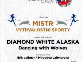 DIAMOND WHITE ALASKA Dancing With Wolves