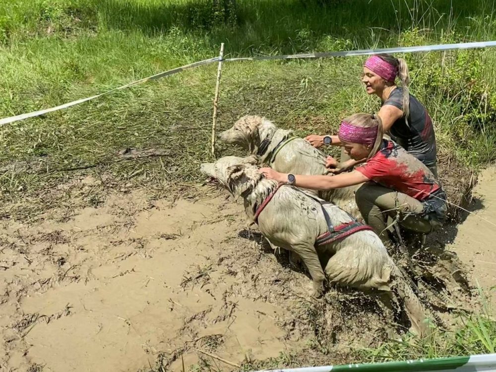 MUD DOG RACE Spring 2021