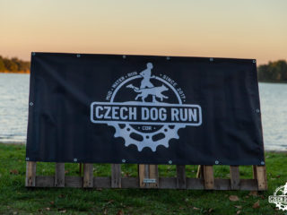 Night race – CZECH DOG RUN NIGHTFALL 2021