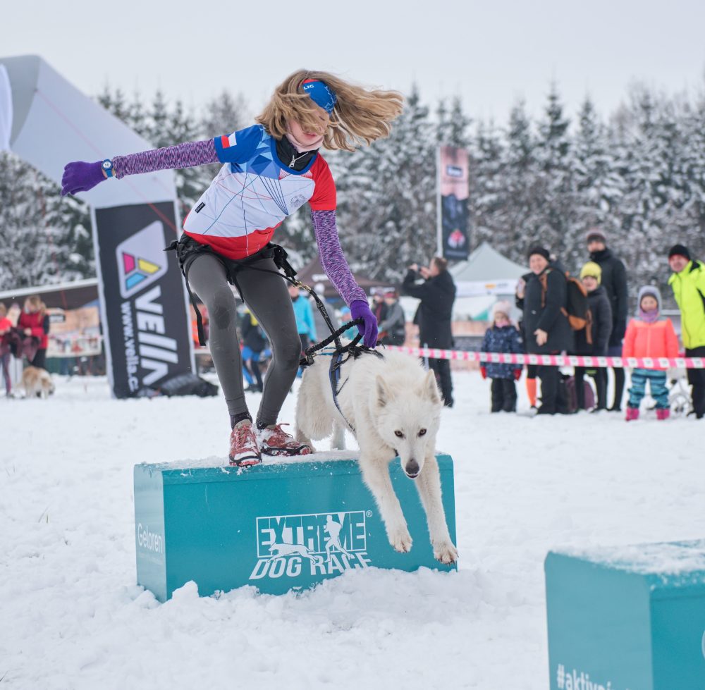 Winter extreme dog race 2021