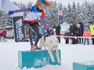 Zimní Extreme dog race – Žernov 2021