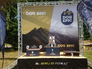 Dog Epic Race 2021