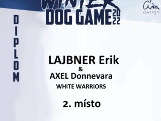 Winter Dog Game 2022