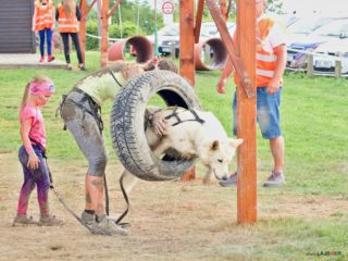 Letní Extreme Dog Race Žernov, 2021