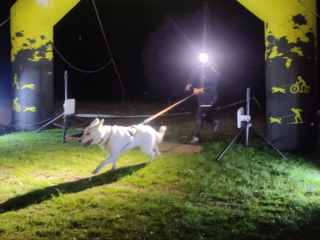 Noční závod CZECH DOG RUN NIGHTFALL 2021