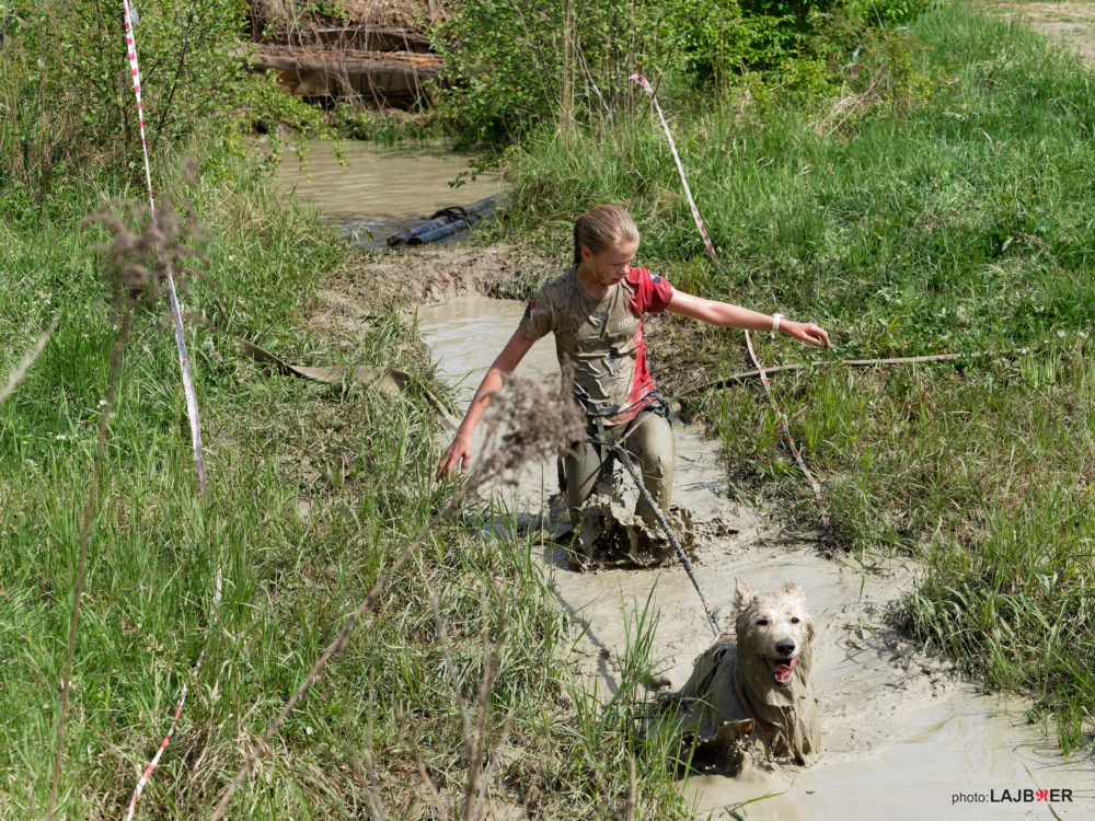 Kaolin Dog Race Spring 2022