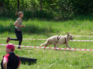 Kaolin Dog Race Spring 2022