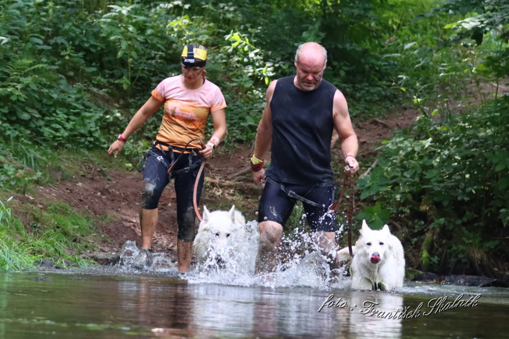 Extreme Dog Race noční + letní 2022