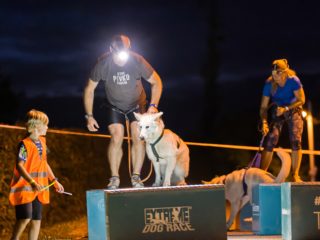 Extreme Dog Race night + summer race 2022