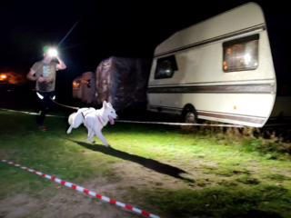 Czech Dog Run Nightfall 2022