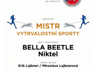 Mistr vytrvalostních sportů