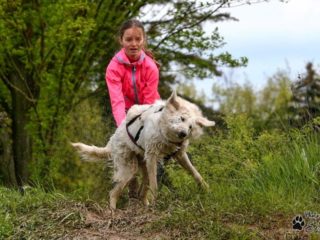 Kaolin dog race spring, 13. 5. 2023