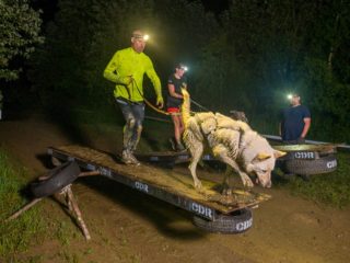 Czech Dog Run 2023 – Area 52