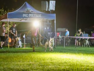 Extreme Dog Race Summer + Night 2023