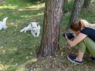 Making a film about the breed – Tlapka TV