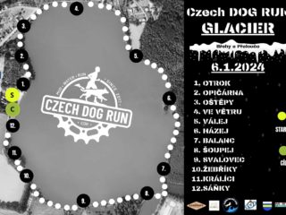 Czech Dog Run Glacier