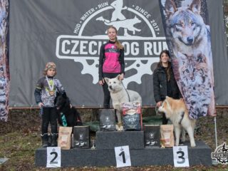 Czech Dog Run Glacier