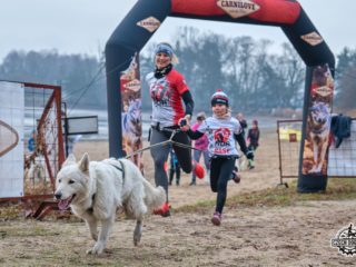 Czech Dog Run Glacier