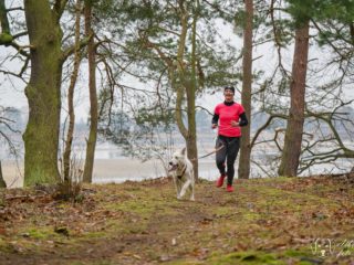 Czech Dog Run Glacier