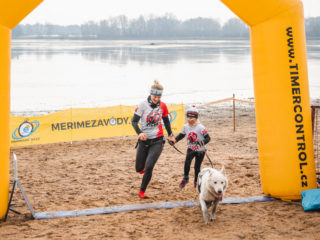 Czech Dog Run Glacier