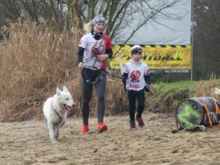 Czech Dog Run Glacier