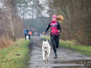 Czech Dog Run Glacier