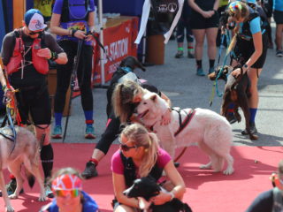 Ještěd Skyrace