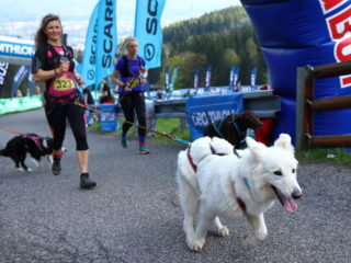 Ještěd Skyrace