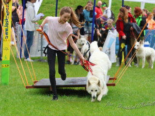 Extreme Dog Race MILITARY Josefov 17. – 18.5.2024