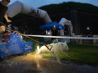 Extreme Dog Race MILITARY Josefov 17. – 18.5.2024