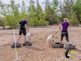 Kaolin dog race spring, 11.5.2024