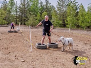 Kaolin dog race spring, 11.5.2024