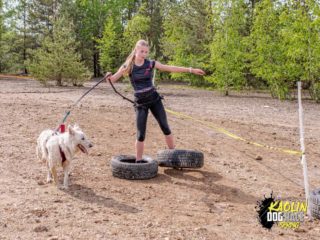 Kaolin dog race spring, 11.5.2024