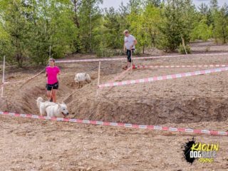 Kaolin dog race spring, 11.5.2024