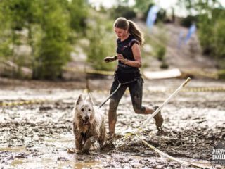 Kaolin dog race spring, 11.5.2024