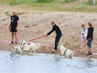 Extreme Dog Race – DogBiatlon & DogTriatlon